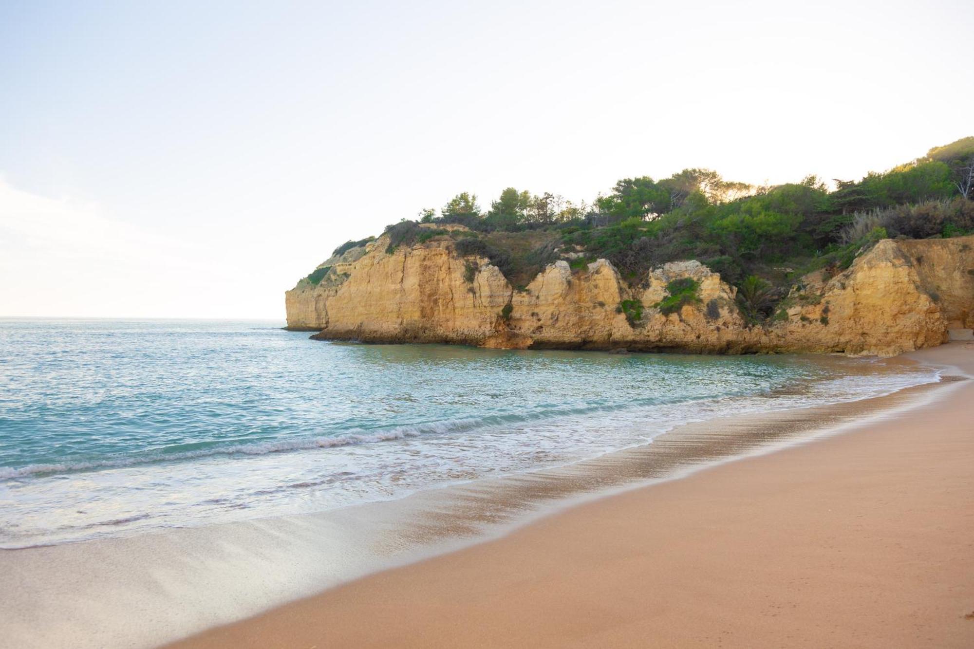 포르체스 Casa Oliveira - Algarve 아파트 외부 사진